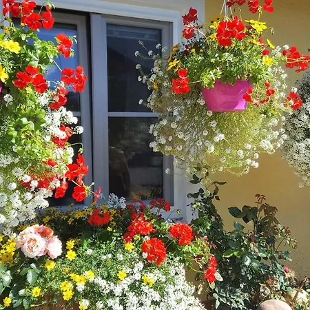 Appartements Della Schiava Bad Kleinkirchheim